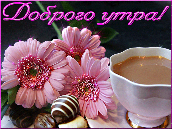 Доброе утро. Доброе утро.