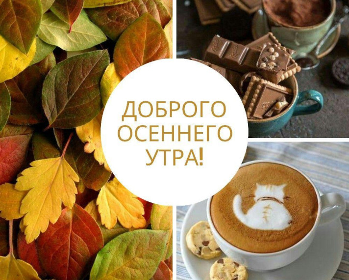 Доброе утро. Доброе утро.
