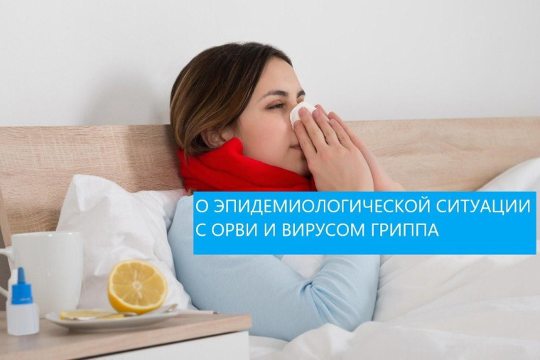 О ситуации с заболеванием ОРВИ и вирусом гриппа в Димитровграде. О ситуации с заболеванием ОРВИ и вирусом гриппа в Димитровграде.