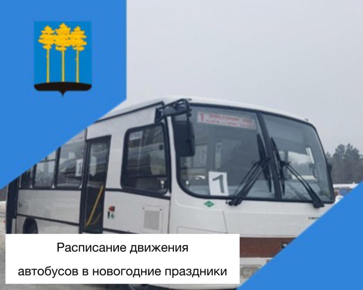 Ознакомьтесь с расписанием движения автобусов в новогодние праздники. Ознакомьтесь с расписанием движения автобусов в новогодние праздники.