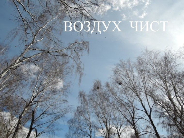 Воздух чист. Воздух чист.