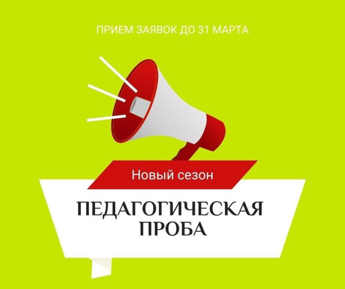 VII Фестиваль молодых педагогов "Педагогическая проба". VII Фестиваль молодых педагогов "Педагогическая проба".