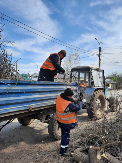 Муниципальный ЦУР: продолжается вывоз веток и спилов деревьев.