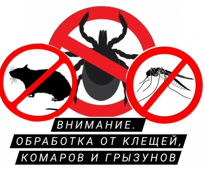 Внимание!. Внимание!.