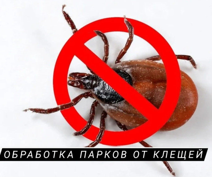 17 апреля будет проводиться обработка общественных пространств от клещей. 17 апреля будет проводиться обработка общественных пространств от клещей.
