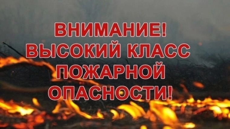ЕДДС предупреждает: в лесах ожидается высокий класс пожарной опасности. ЕДДС предупреждает: в лесах ожидается высокий класс пожарной опасности.