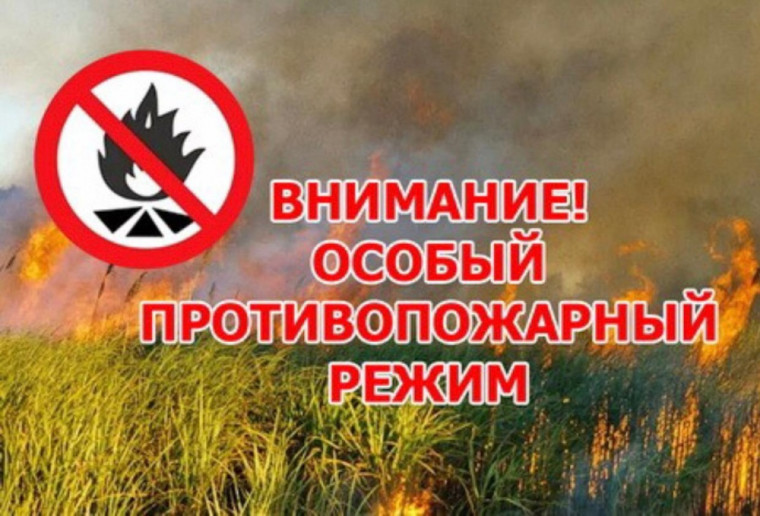 ВНИМАНИЕ! В Ульяновской области введен особый противопожарный режим.