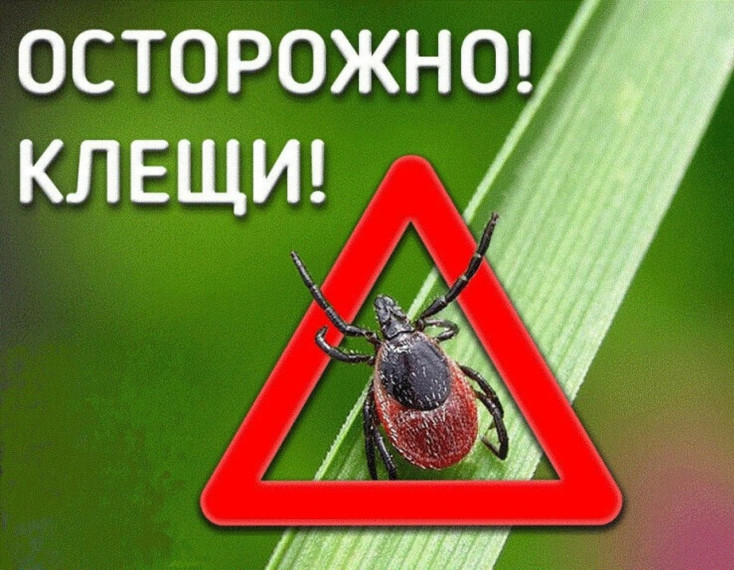 Осторожно, клещи атакуют!. Осторожно, клещи атакуют!.