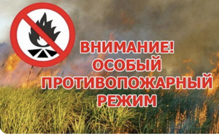 ЕДДС предупреждает: в лесах ожидается высокий класс пожарной опасности. ЕДДС предупреждает: в лесах ожидается высокий класс пожарной опасности.