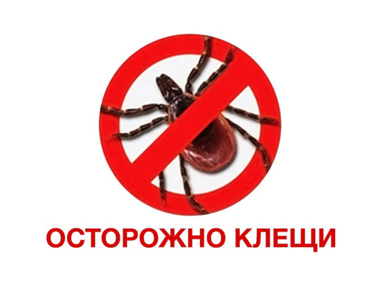 Отдыхая на природе и работая на даче, будьте осмотрительны!. Отдыхая на природе и работая на даче, будьте осмотрительны!.
