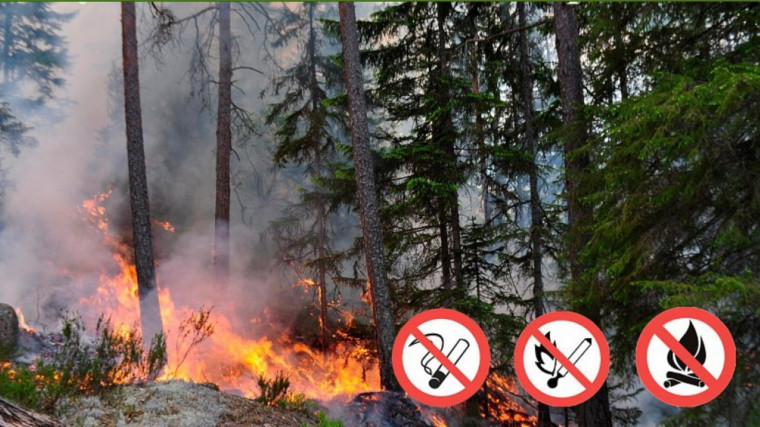 МЧС предупреждает: объявляется «желтый» уровень опасности - в период с 3 по 7 июня местами в лесах сохранится высокая пожарная опасность 4 класса..