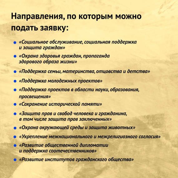 Ульяновские НКО могут претендовать на президентские гранты по соцпроектам.