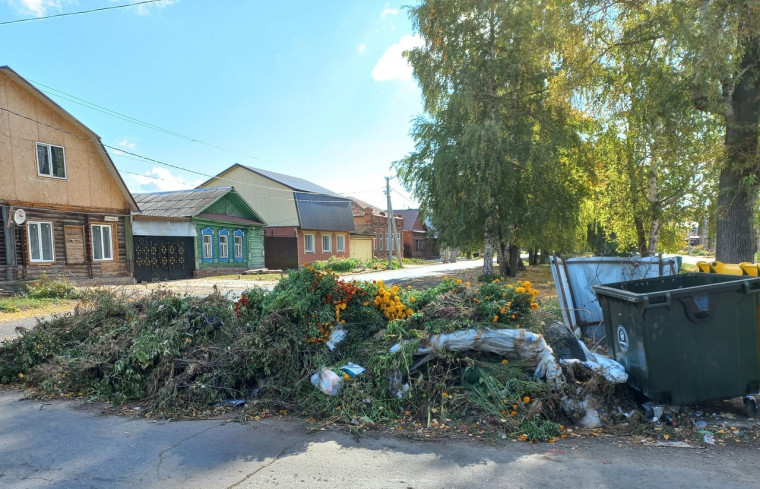 На улице Баданова: контейнеры - пустые, а рядом - куча мусора и растительных отходов! Уважаемые горожане! Мусор надо складывать в контейнеры.