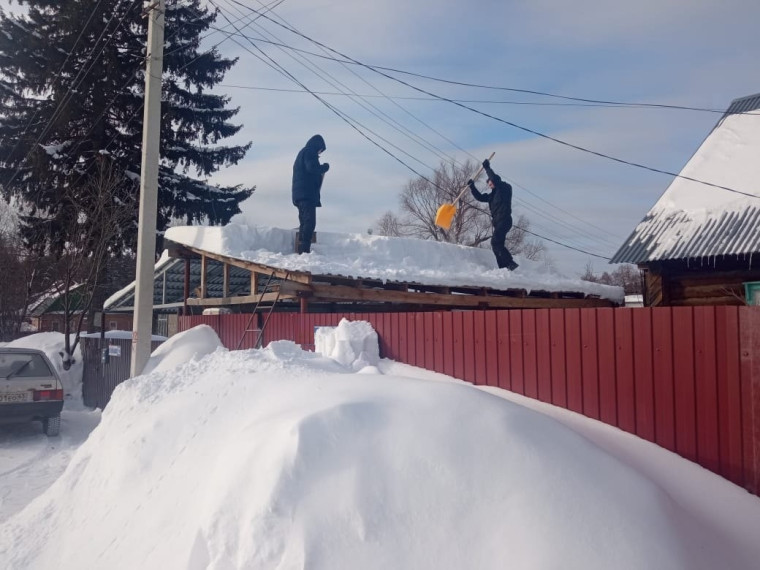 Сотрудники городского Комитета по делам молодёжи помогают одиноким ветеранам в расчистке от снега.