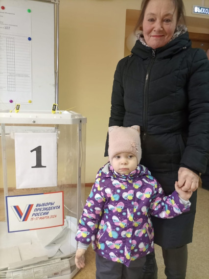 Димитровградцы голосуют.