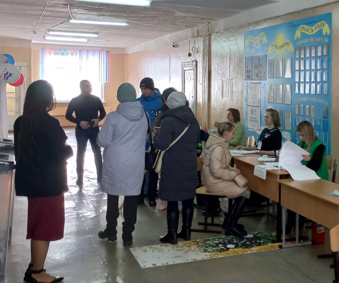 К полудню воскресенья 17 марта явка избирателей в Димитровграде составила 48, 95%.