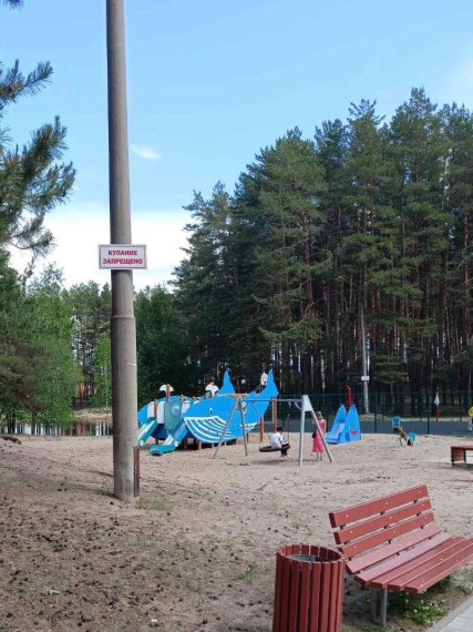Летом в Димитровграде будут проходить профилактические рейды на водоемах.