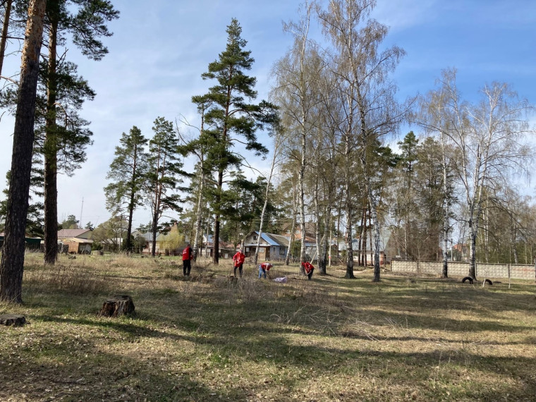 С 13 по 17 апреля в Димитровграде в рамках международной акции «Сад памяти», региональной акции «Посади и вырасти свое дерево», проекта «Пять шагов для городов» будет высажено 245 деревьев.