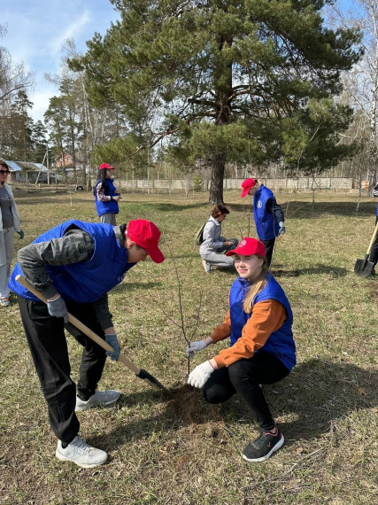 С 13 по 17 апреля в Димитровграде в рамках международной акции «Сад памяти», региональной акции «Посади и вырасти свое дерево», проекта «Пять шагов для городов» будет высажено 245 деревьев.